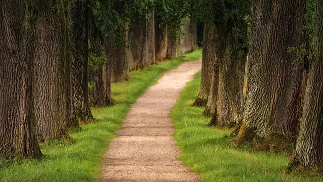 Exploring the Latest Leisure Lifestyle Trends for Your Well-Being