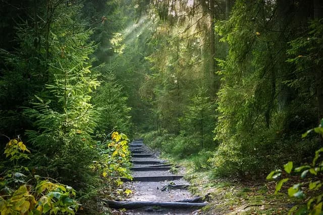 Understanding the Benefits of Nature-Based Leisure Activities