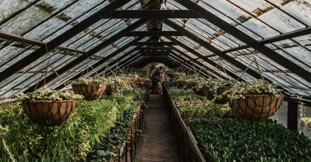 Comparing Traditional vs Smart Home Gardening
