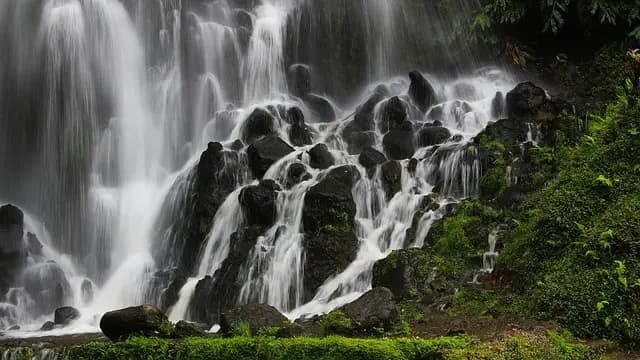 Exploring the Rise of Eco-Conscious Leisure Activities