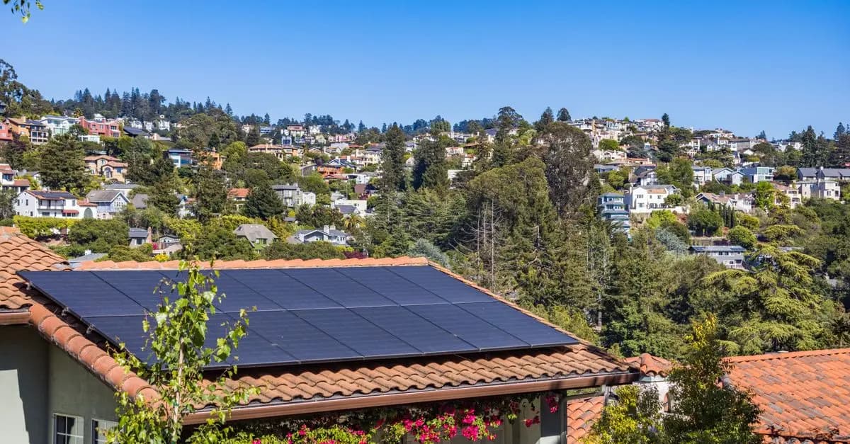 A Beginner's Guide to Eco-Friendly Living