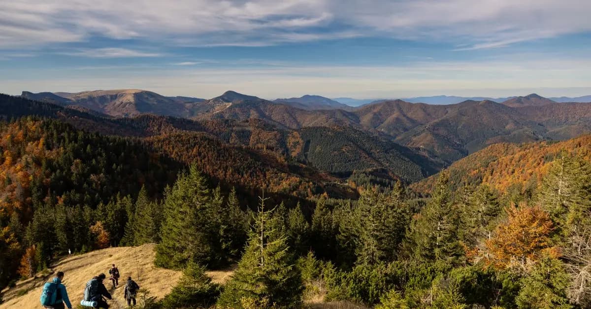 Exploring the Benefits of Nature-Based Leisure Activities