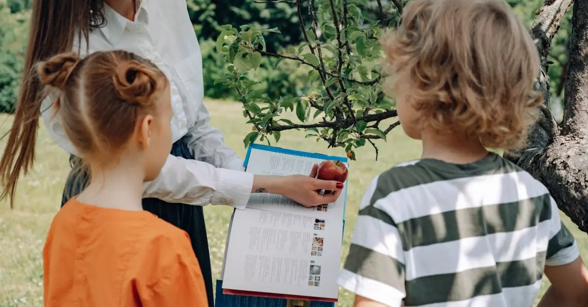 Benefits of Forest Schools: Outdoor Learning