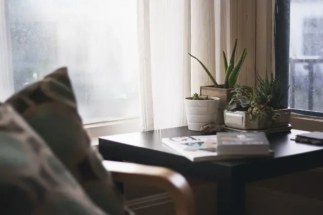 Top Leisure Lifestyle Trends for Better Well-Being