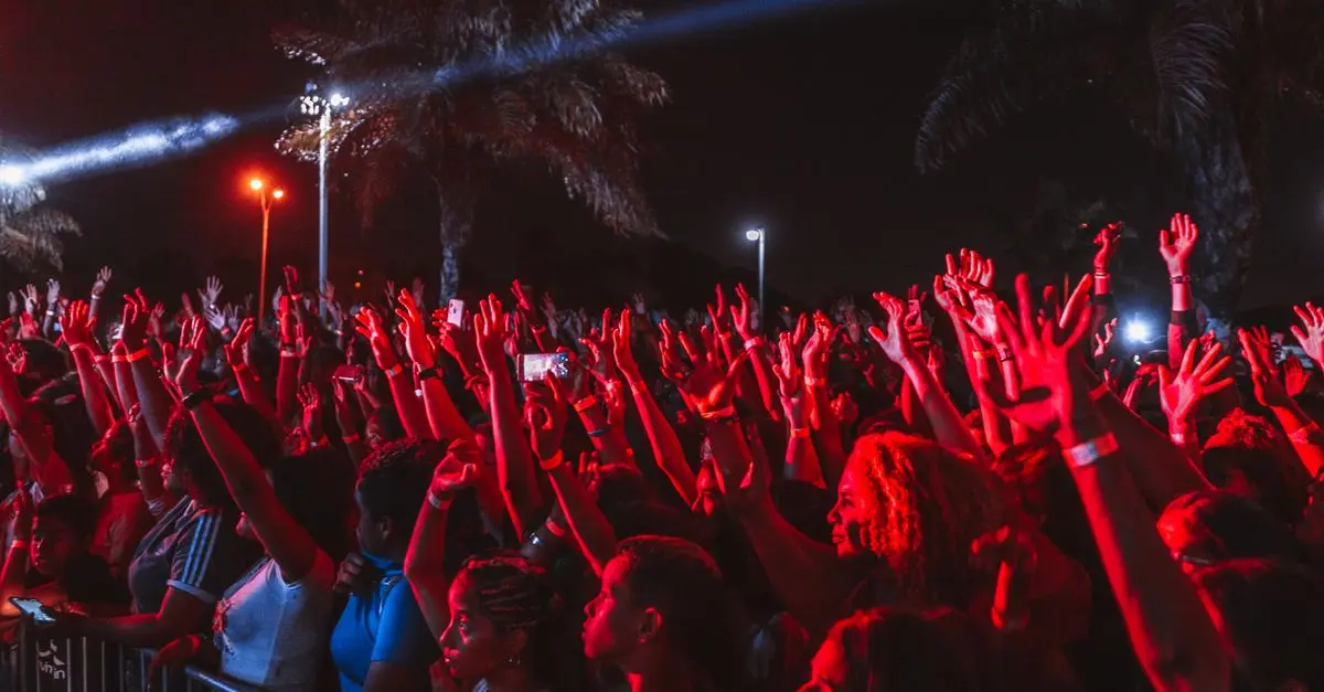 Music Festivals: What to Expect and How to Prepare