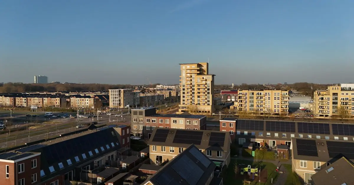 Sustainable Living Tips for Urban Dwellers