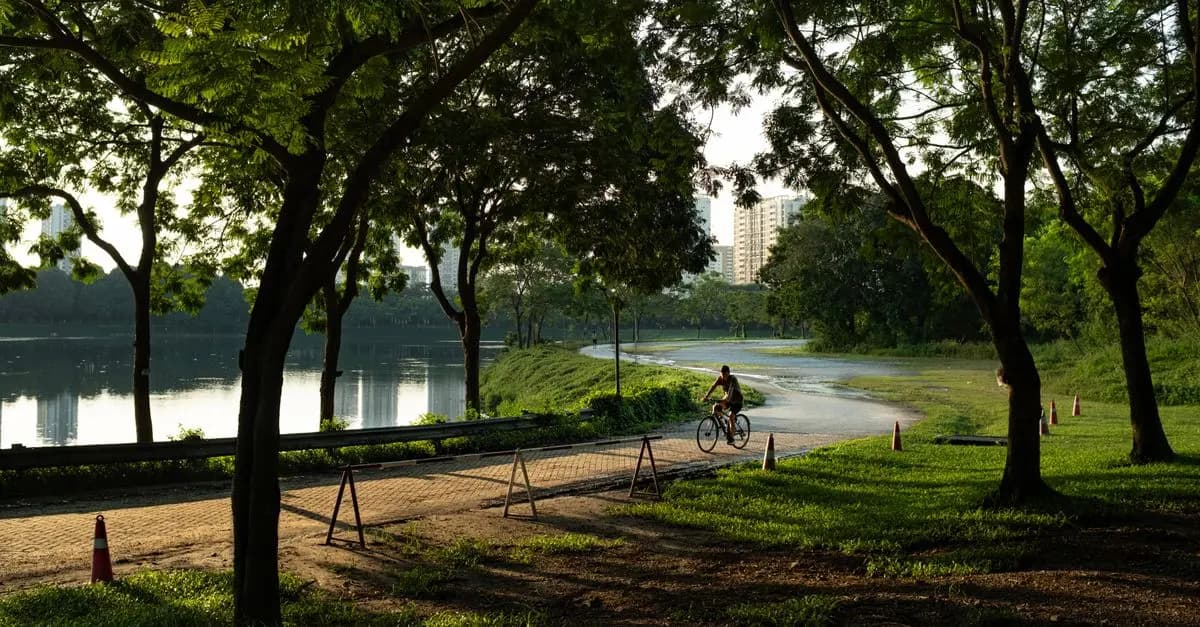 Top 5 Sustainable Leisure Trends You Should Know