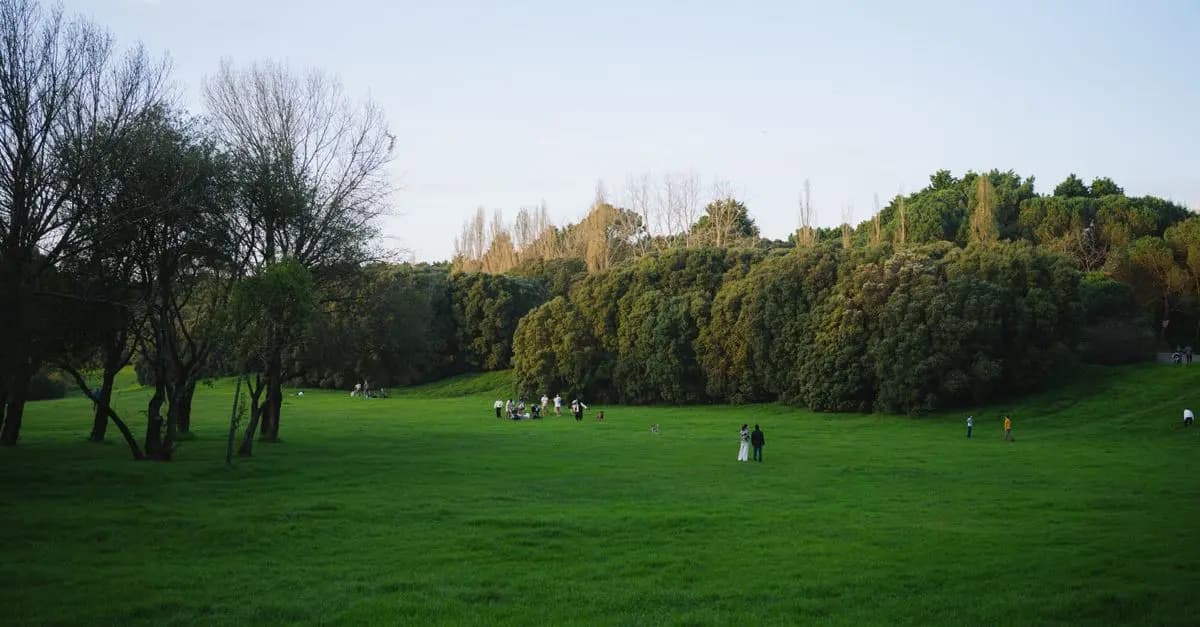 Understanding the Impact of Leisure on Mental Health