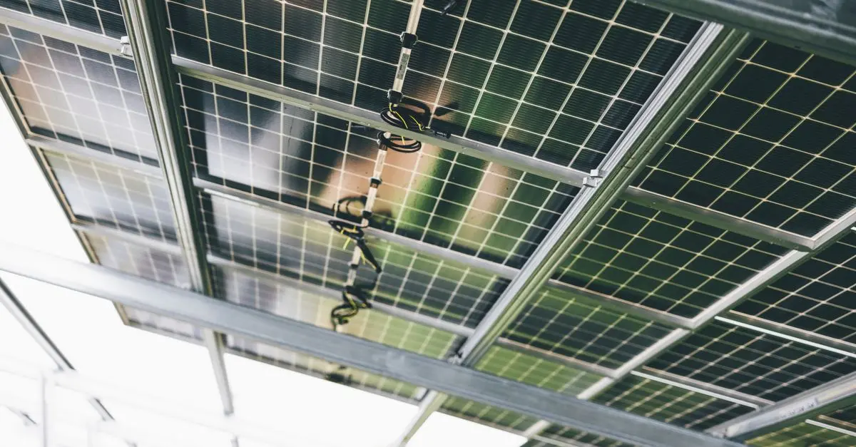 Renewable Energy: Harnessing the Sun in Your Backyard